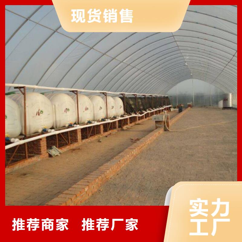 广东省厂家货源《泽沃》草莓定尺大棚管来样定制2024