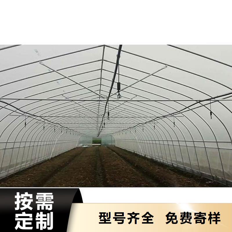 山西省推荐厂家<泽沃>高平大棚管批发厂家厂家直供2024