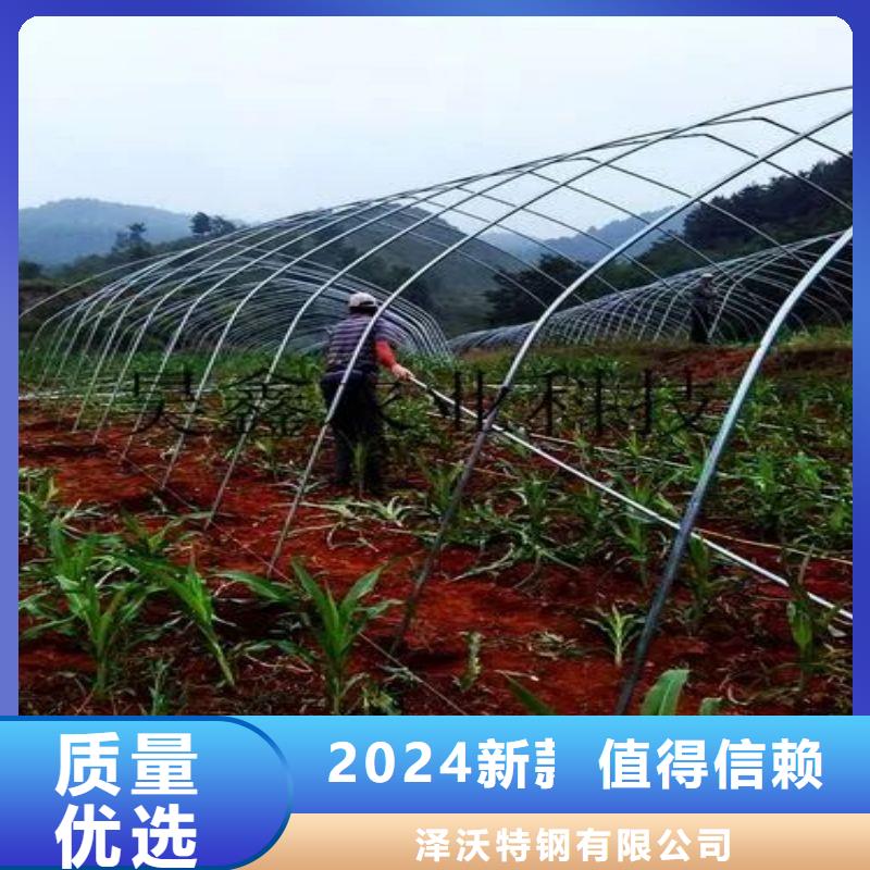 邳州塑料薄膜大棚价格低