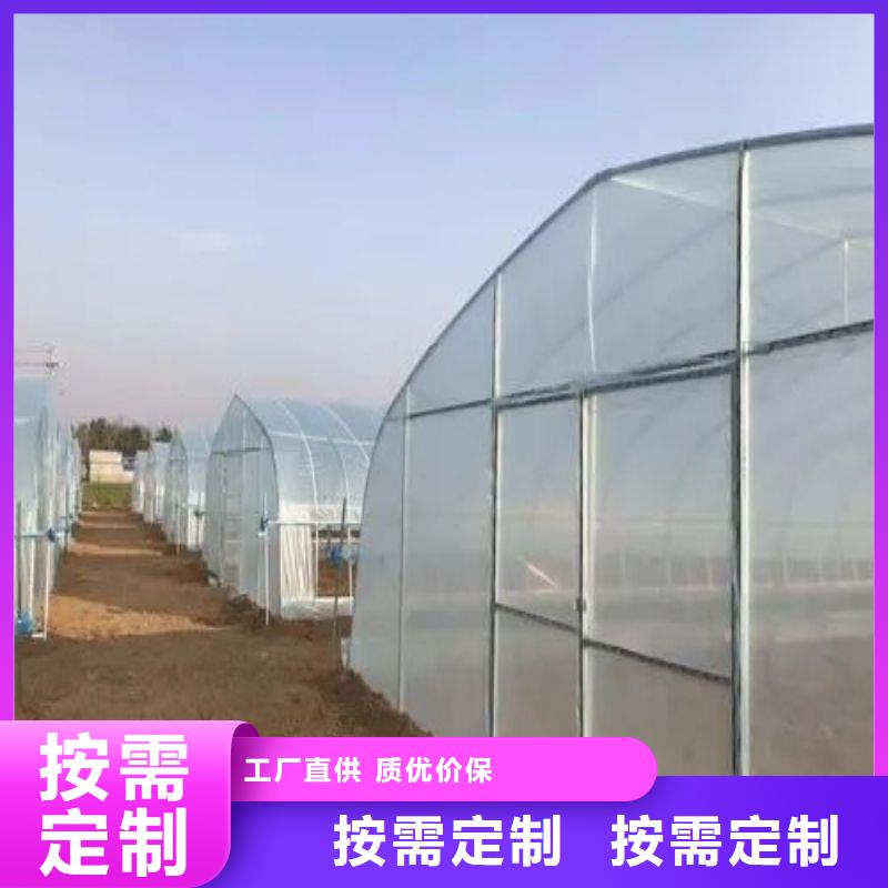 沾化连栋大棚种植质量放心2025