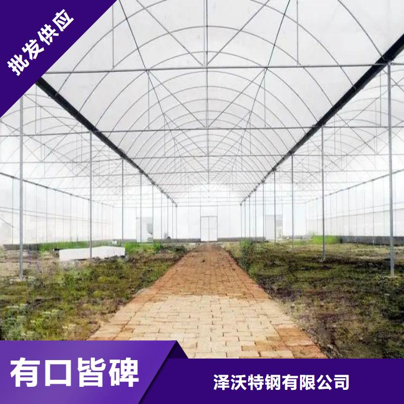 略阳县简易温室种植基地