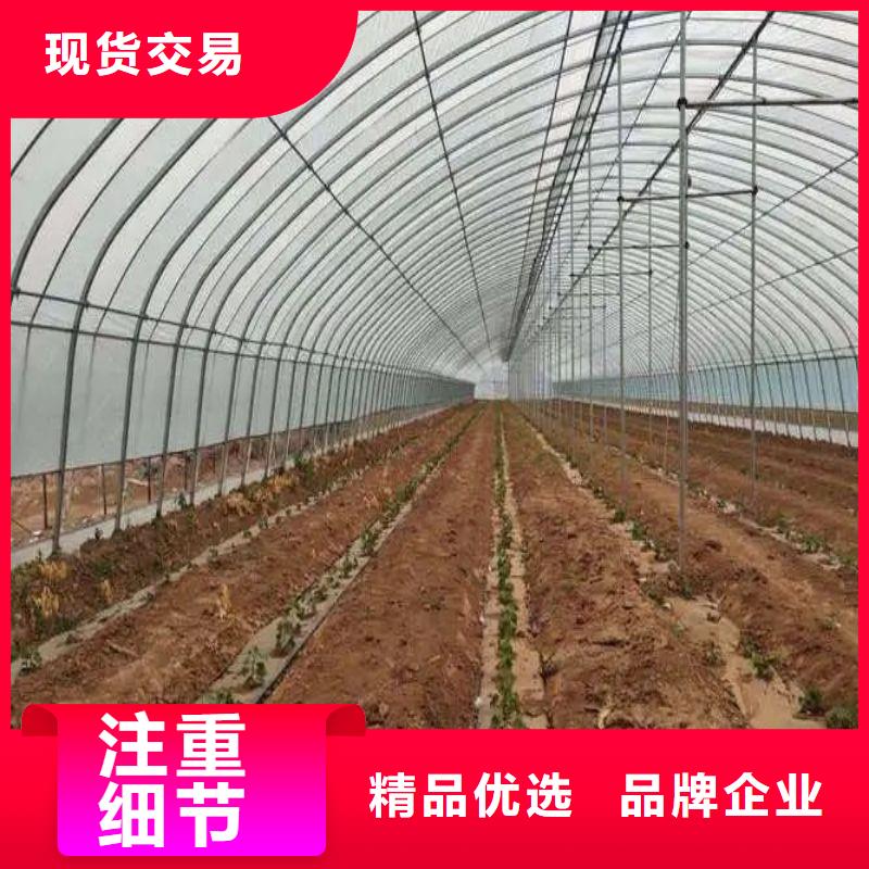 凯里连栋大棚安装视频教程择优推荐2025