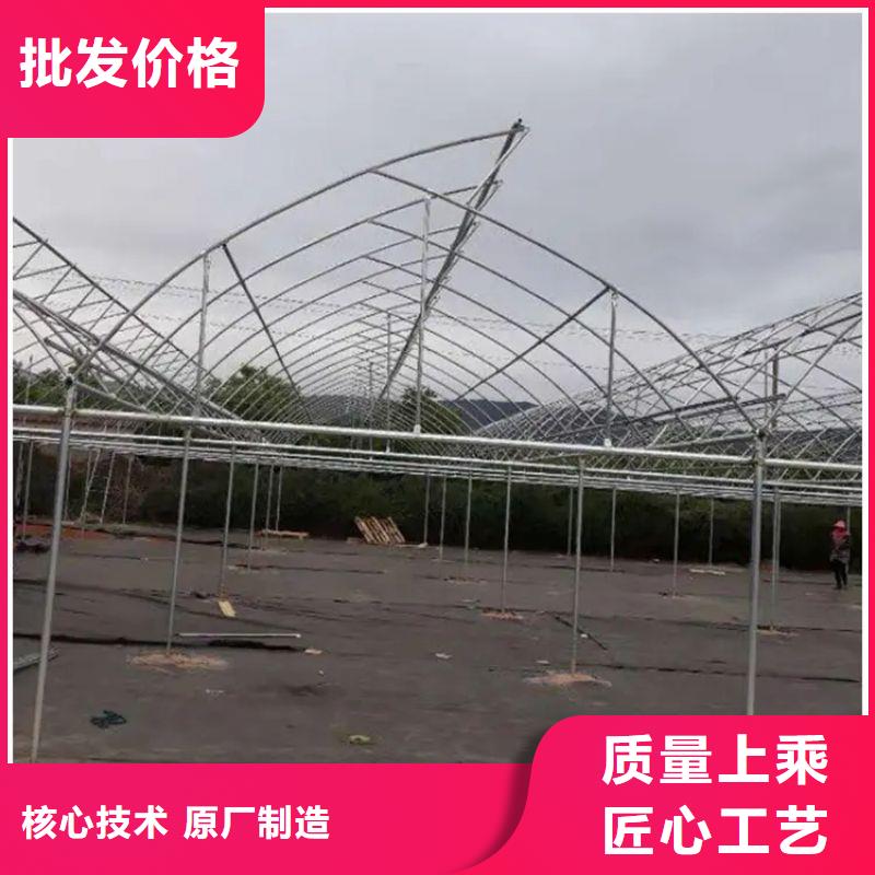 当涂种植单体大棚价格公道