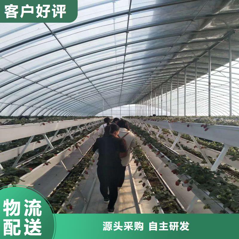 黔江连栋大棚种植询问报价2025