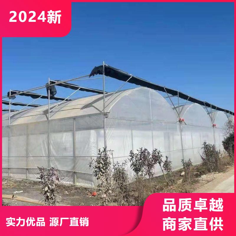 依兰连栋大棚的优缺点生产厂家2025