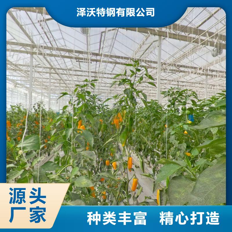 兰山牛头大棚管折弯