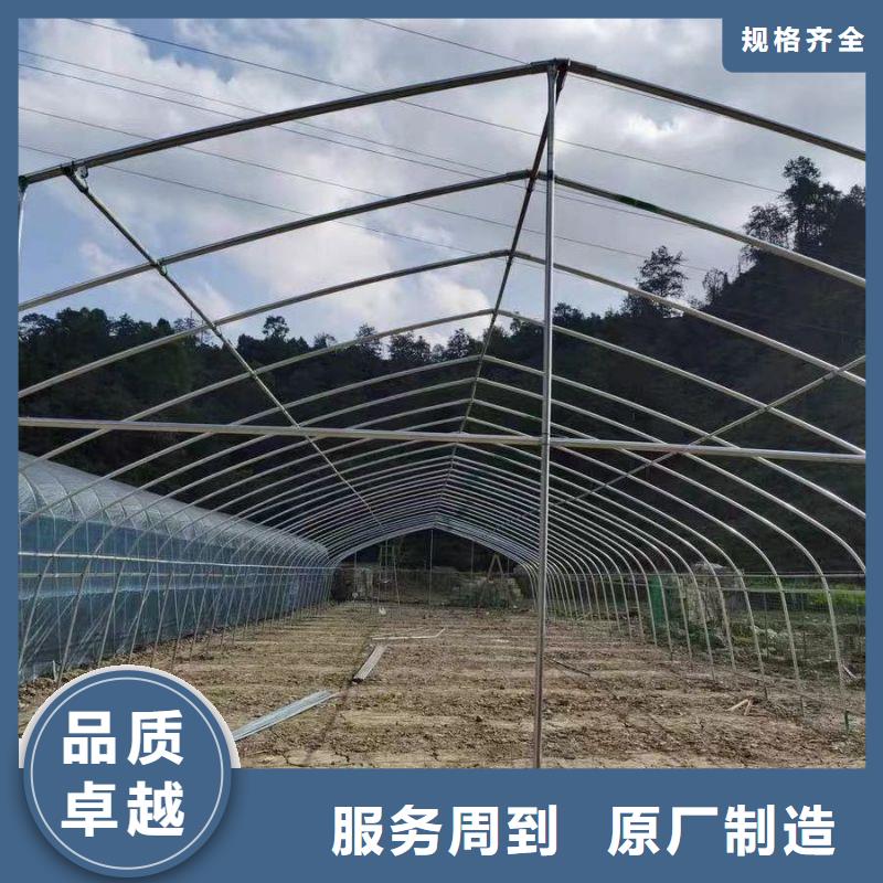 立山区草莓大棚下单