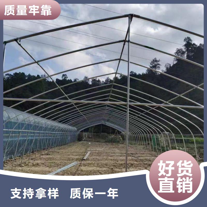 金塔县塑料薄膜温室喜欢