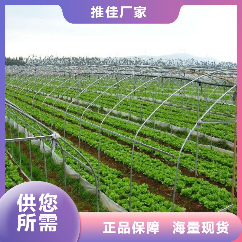 双阳蔬菜大棚管售后无忧2025已更新