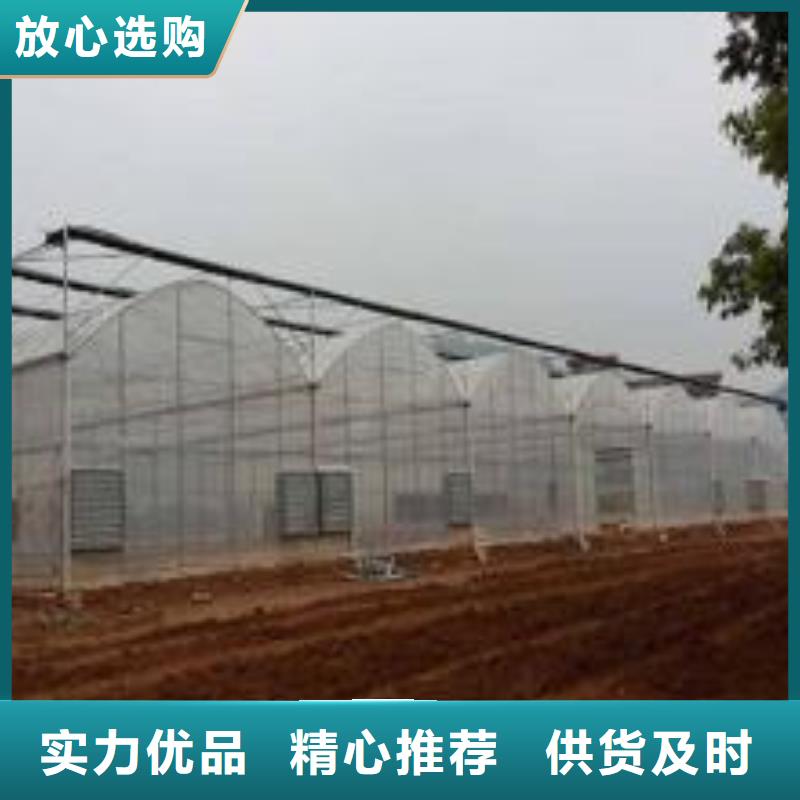 扎达蔬菜大棚管质量优2025已更新