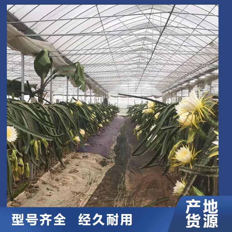 虹口区专业做4分6分8分连栋1寸大棚管客户最终选择