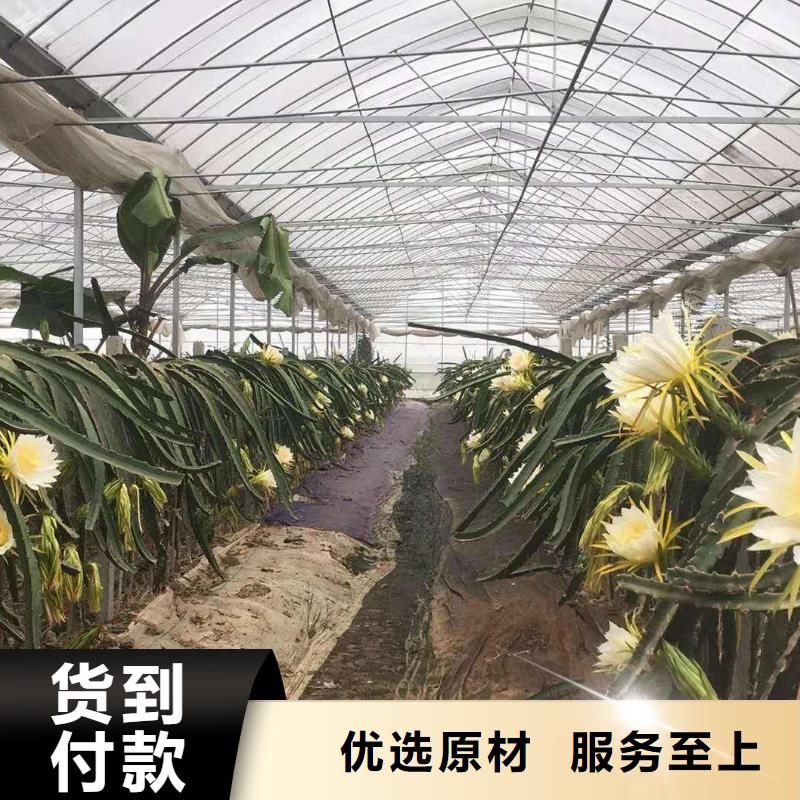 大棚管【蔬菜温室大棚管】质检严格放心品质