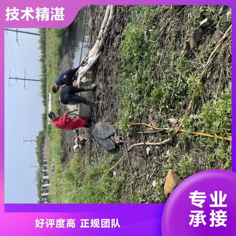 附近【金龙】护坡破损模袋修复公司厂家推荐