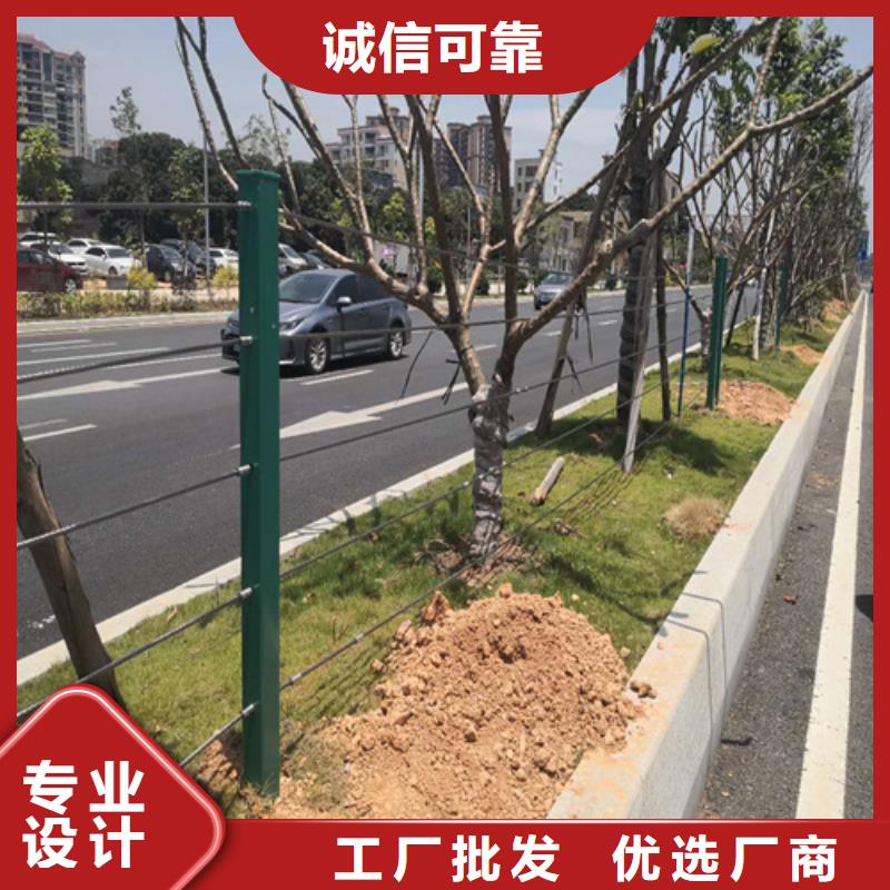 绳索护栏厂家定做价格