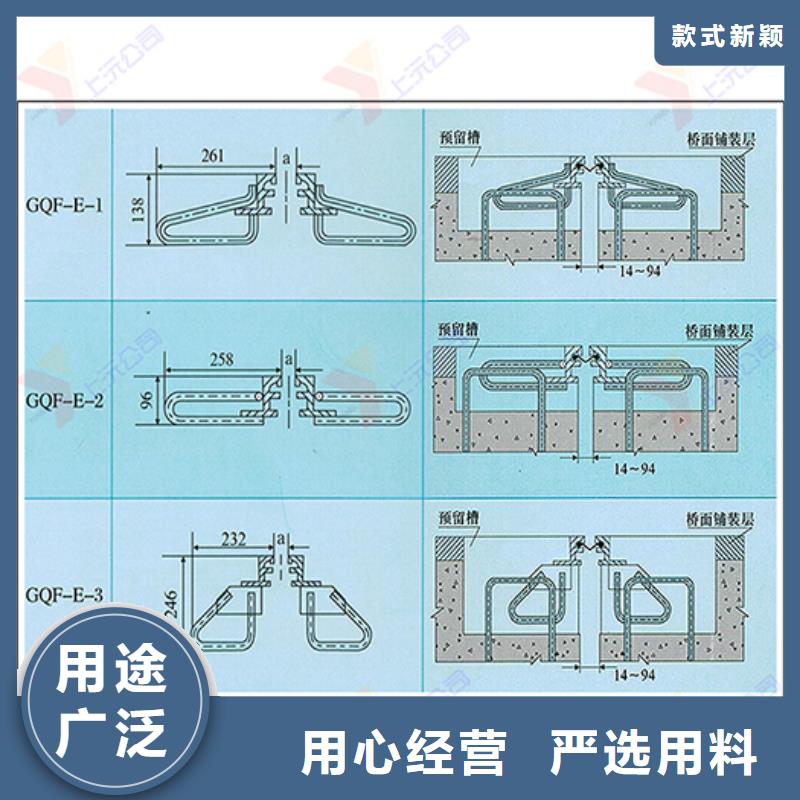 桥梁伸缩缝-【网架支座】实力大厂家