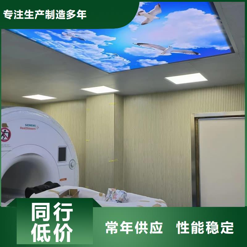 可按需定做铅门防护工程改造的厂家