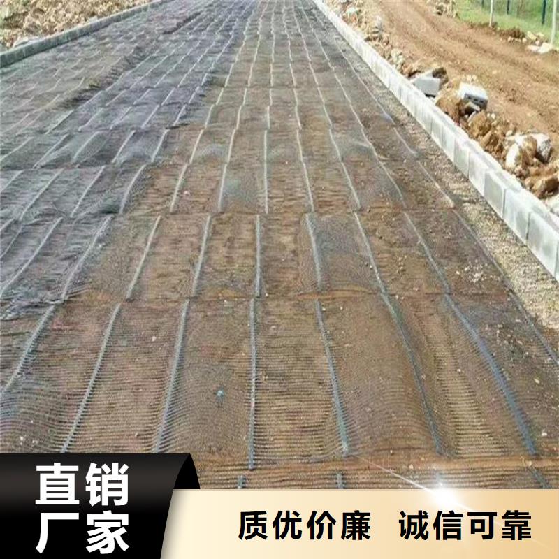 单向塑料土工格栅塑料土工滤网丰富的行业经验