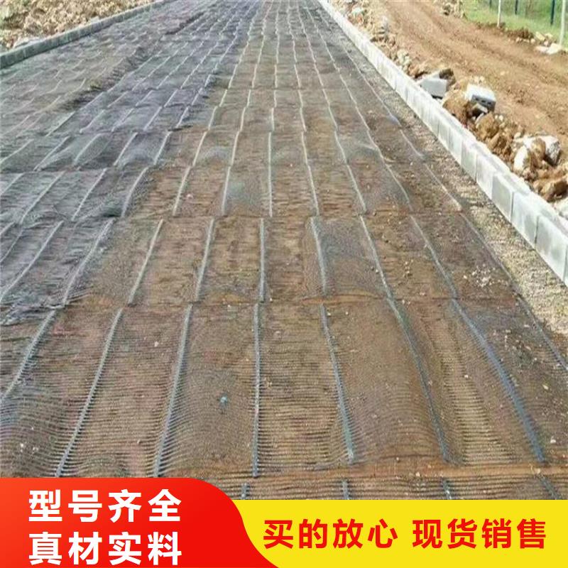 单向塑料土工格栅【TPO防水卷材】应用领域