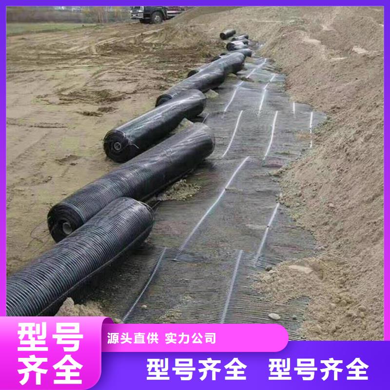 【单向塑料土工格栅】_土工布随心所欲定制