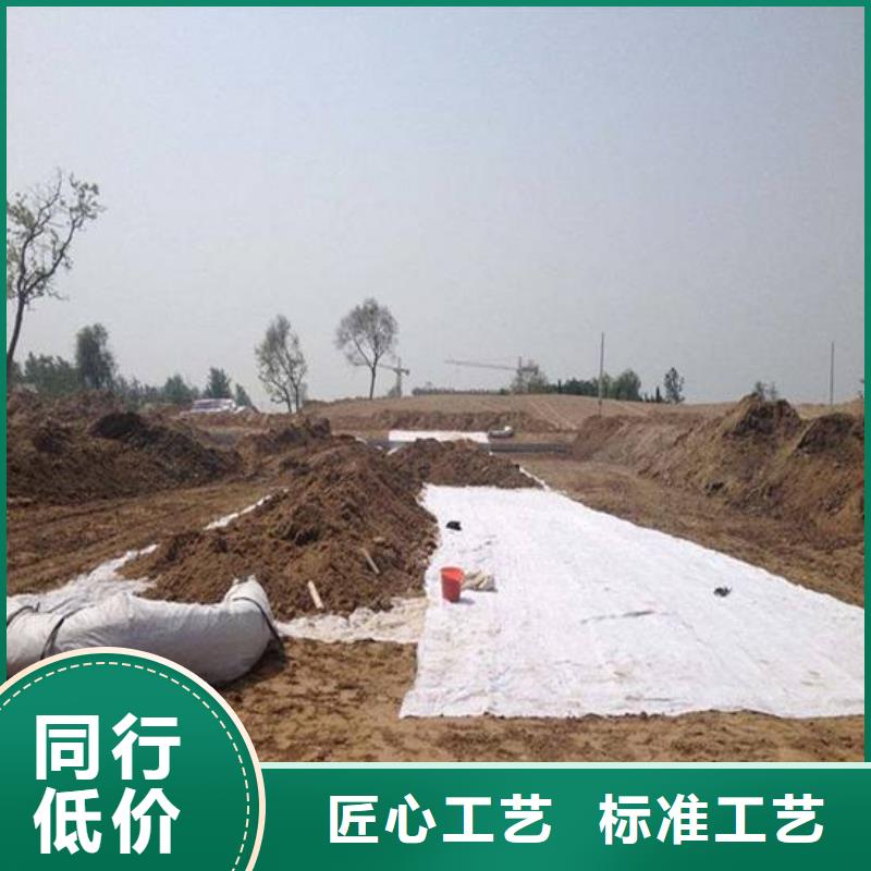 【膨润土防水毯土工格室来图定制】