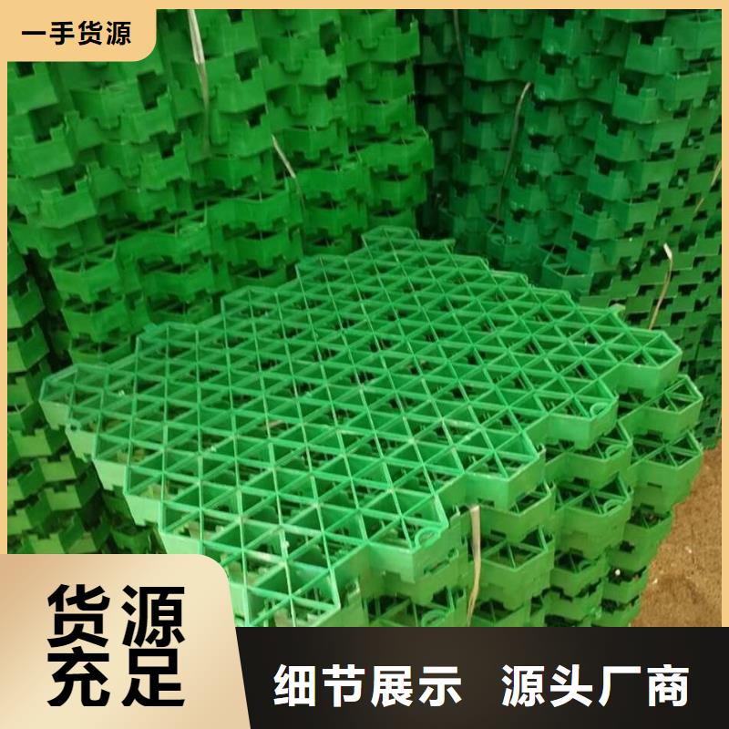 植草格膨润土防水毯一致好评产品