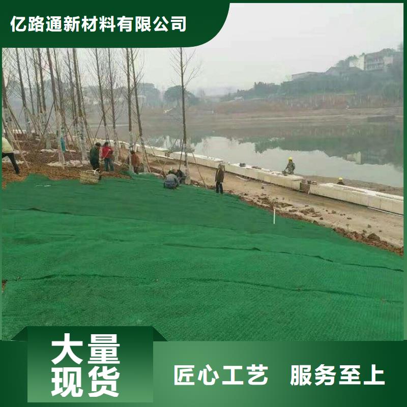 三维植被网塑料土工格栅好产品有口碑