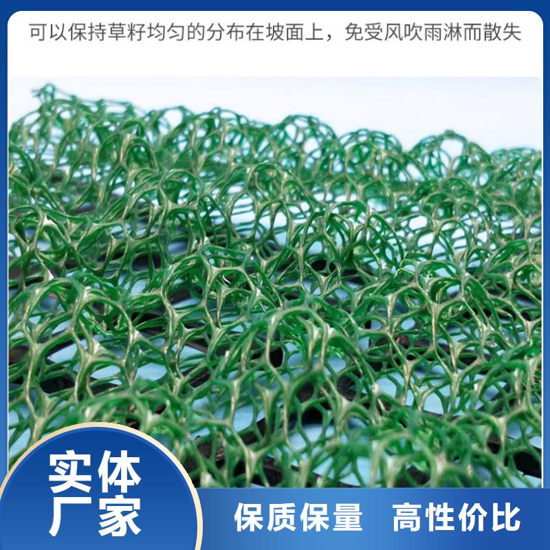 【三维植被网,膨润土防水毯好品质售后无忧】