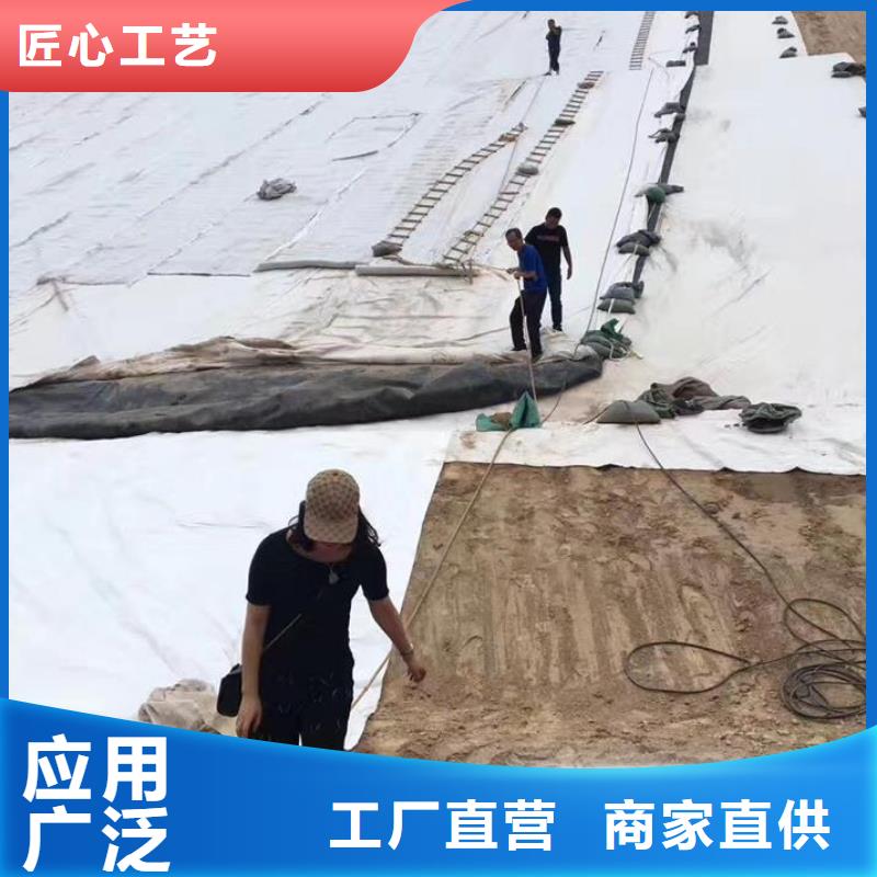 三维复合排水网-钢塑土工格栅您想要的我们都有