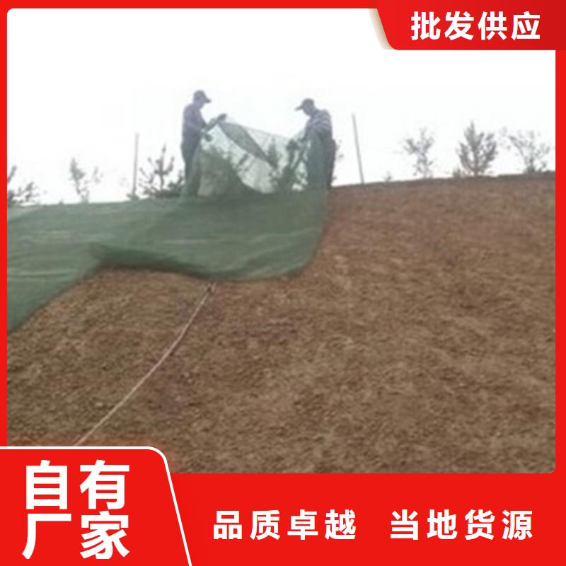 三维植被网护坡土工网采购无忧