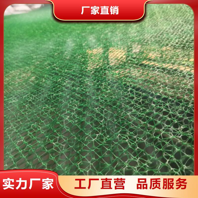 【三维植被网HDPE土工膜大量现货供应】