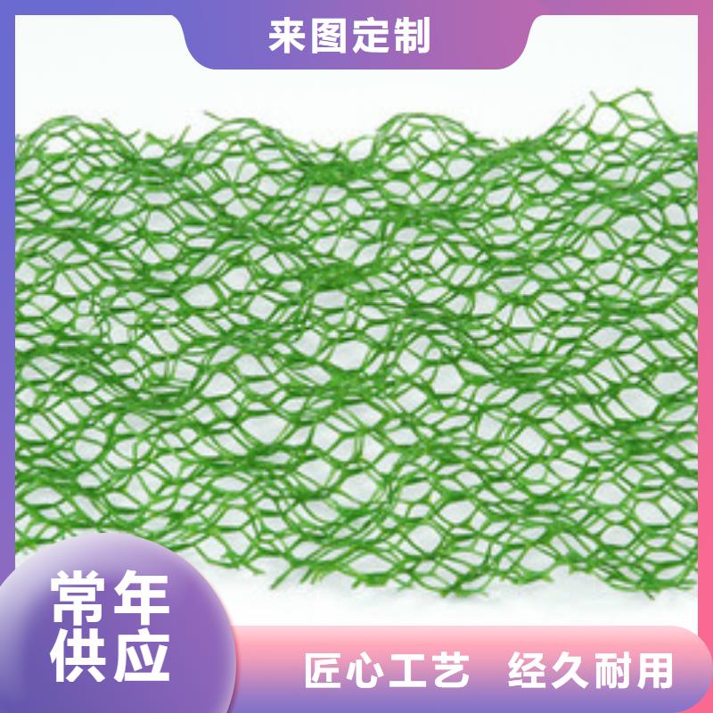 【三维植被网,双向塑料格栅支持定制批发】