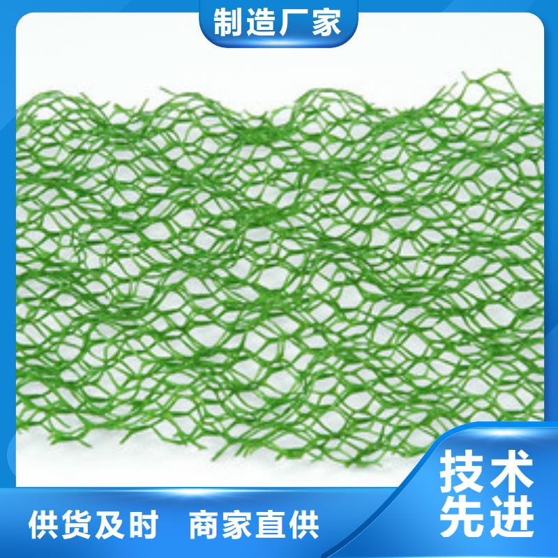 三维植被网_HDPE土工膜源头厂家量大价优