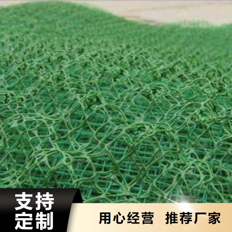 三维植被网长丝土工布厂家直销规格多样