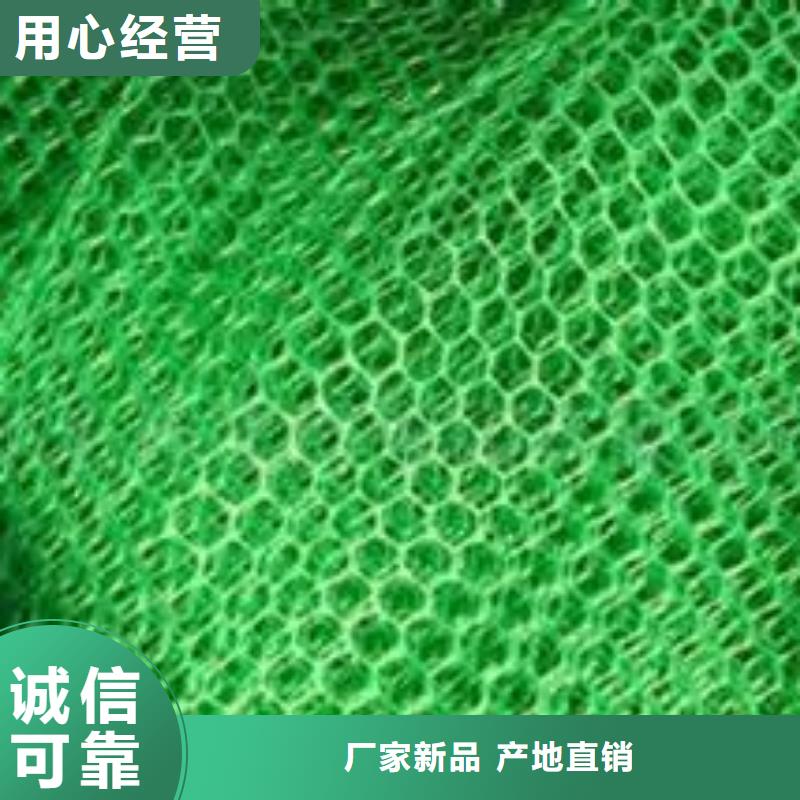 【中齐】三维植被网双向塑料格栅厂家货源-中齐建材有限公司