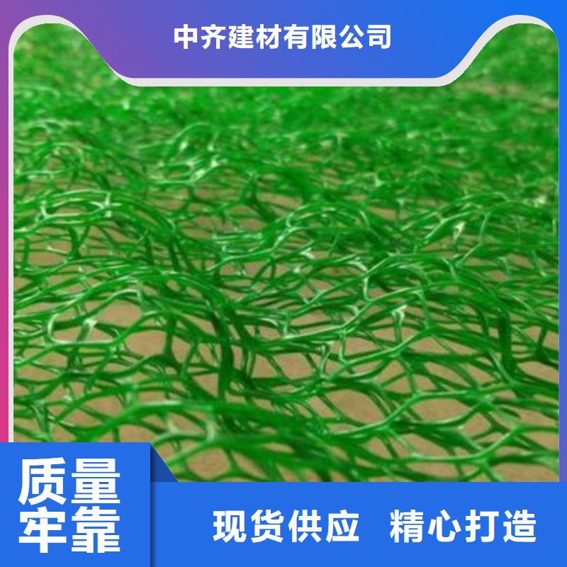 【中齐】三维植被网双向塑料格栅厂家货源-中齐建材有限公司