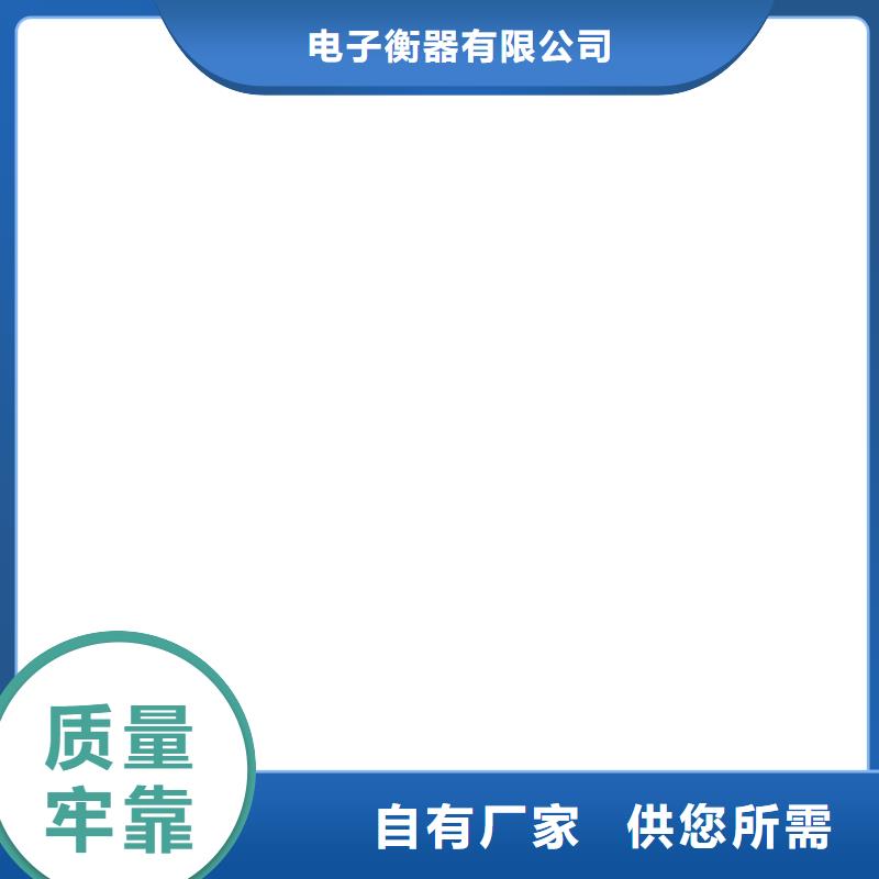 电子地磅,电子吊磅厂家货源稳定