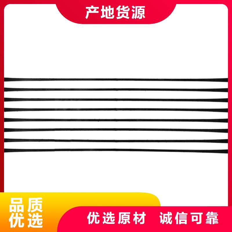 单向拉伸塑料格栅三维植被网产地直销