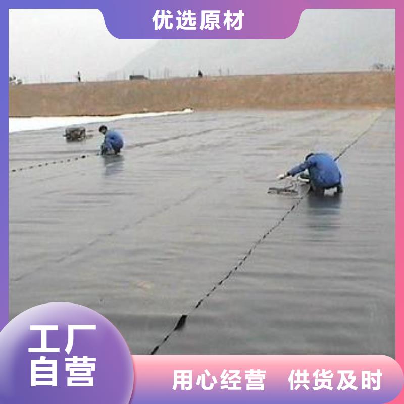 【土工膜涤纶土工格栅支持定制批发】