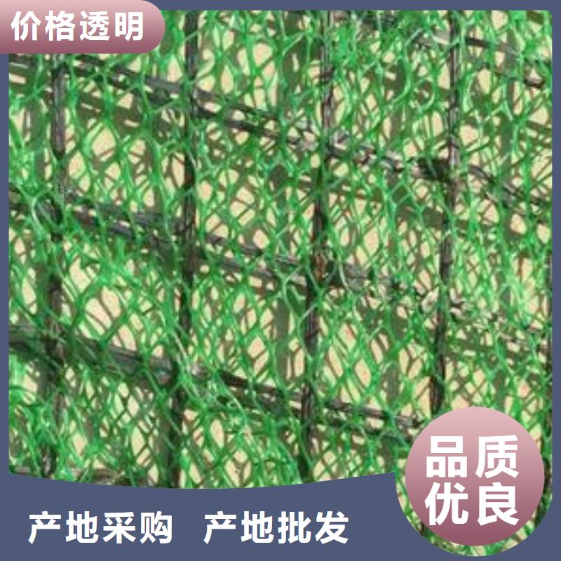 【三维植被网】PP焊接土工格栅一站式厂家