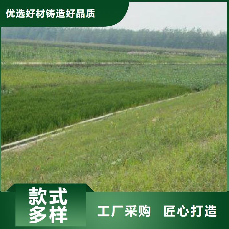 三维植被网单向塑料土工格栅交货准时