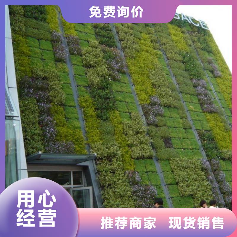 【三维植被网】护坡土工网严选用料