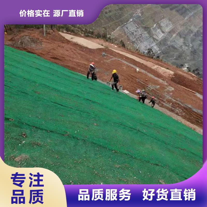 三维植被网土工布价格地道