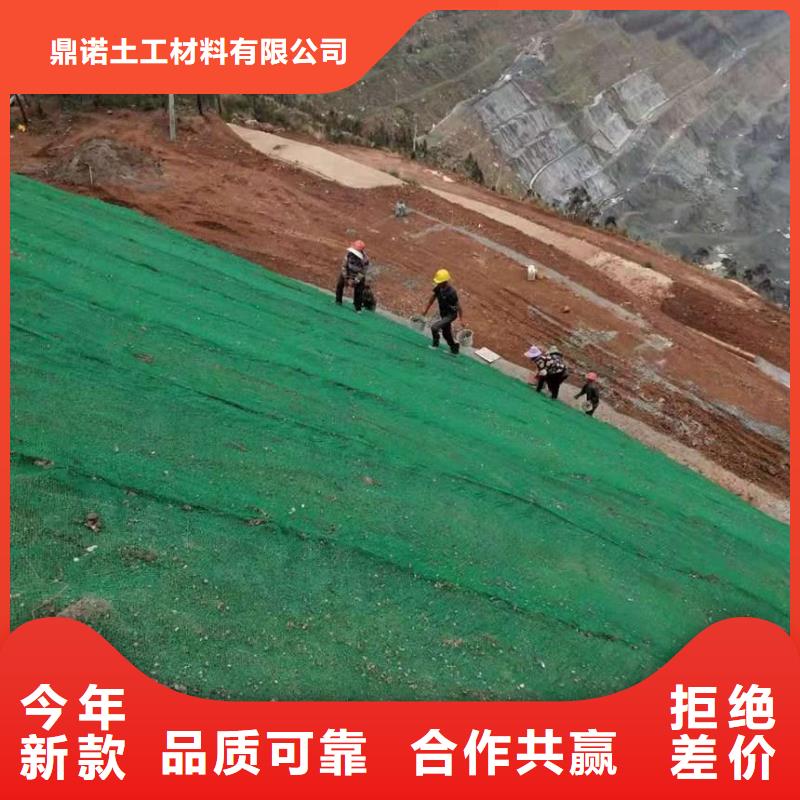 三维植被网钢塑土工格栅交货准时