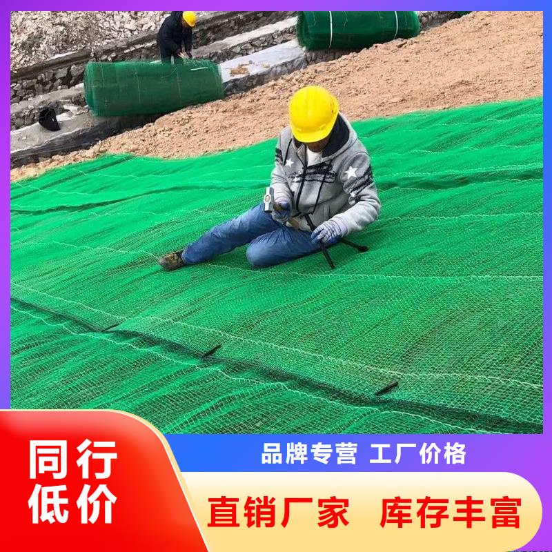 【三维植被网复合土工膜一站式供应厂家】