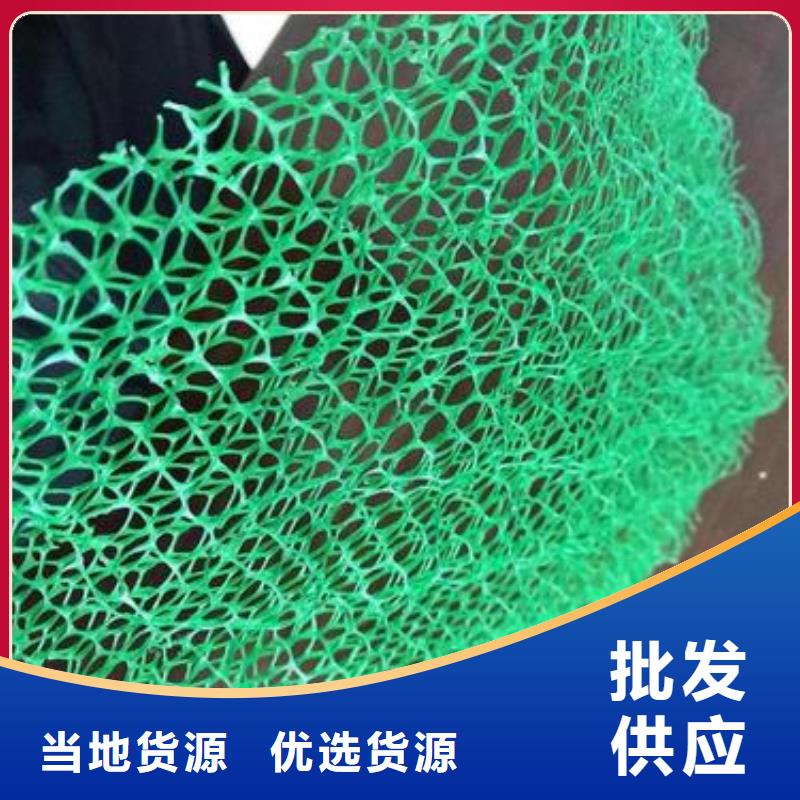 三维植被网复合土工膜品质保障价格合理