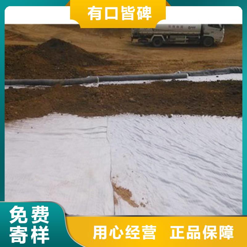 【膨润土防水毯】-双向塑料土工格栅现货充足量大优惠