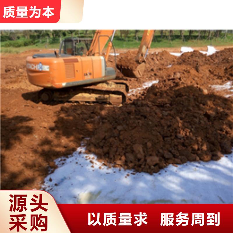 【防水毯护坡土工网厂家直销大量现货】