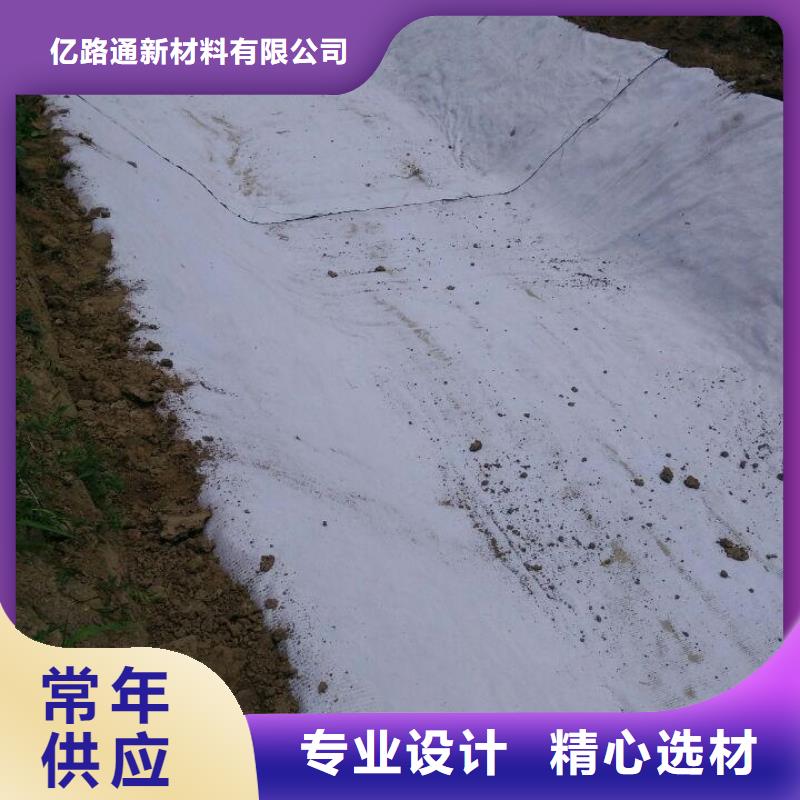 防水毯钢塑土工格栅厂家直销