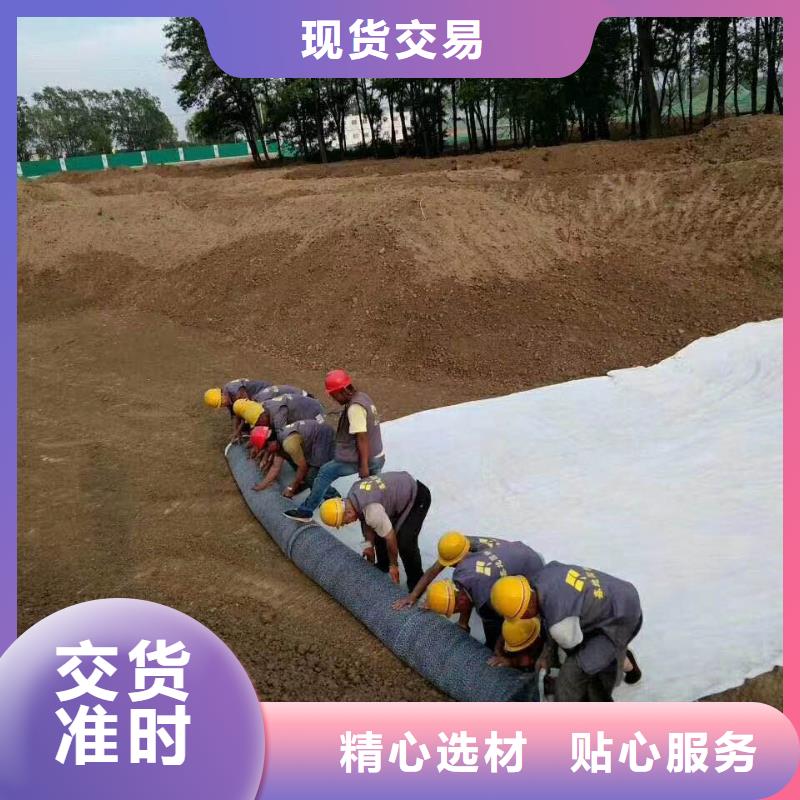 【防水毯】三维水土保护毯好货采购