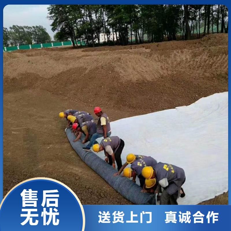 【防水毯】膨润土防水毯型号齐全